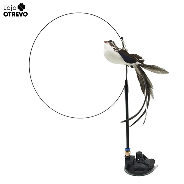 BirdPlay® - Brinquedo Interativo Para Gatos